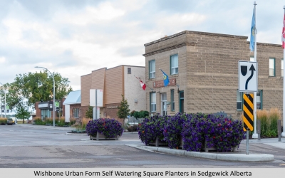 Wishbone Urban Form Self Watering Square Planters in Sedgewick Alberta